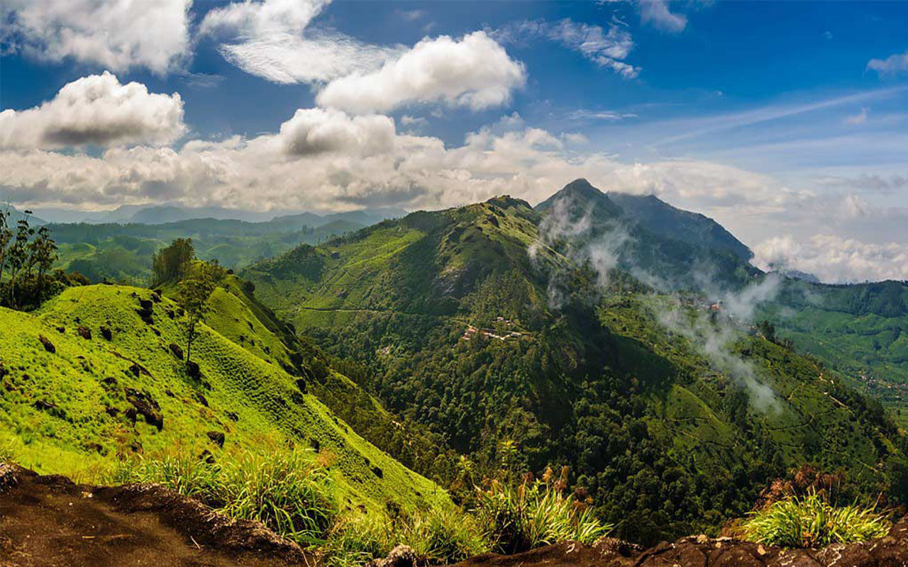 Lakshmi Hills Trek Route – Munnar Travel Guide